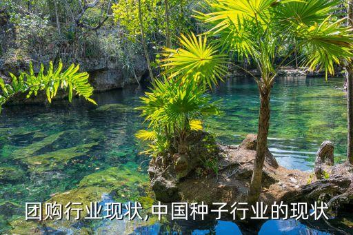 团购行业现状,中国种子行业的现状