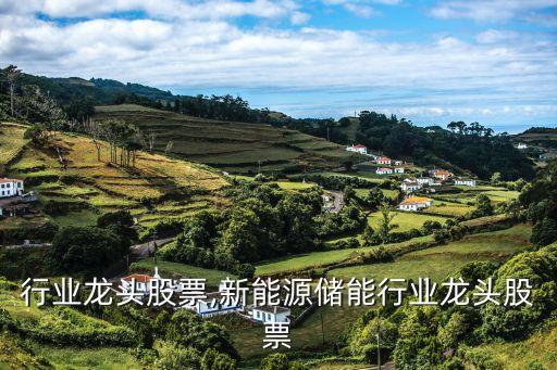 行业龙头股票,新能源储能行业龙头股票