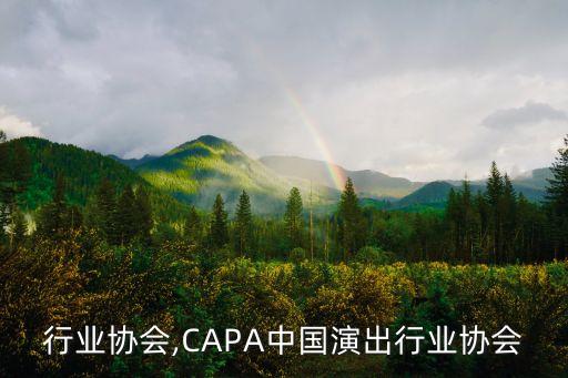 行业协会,CAPA中国演出行业协会