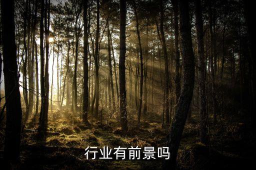 行业有前景吗