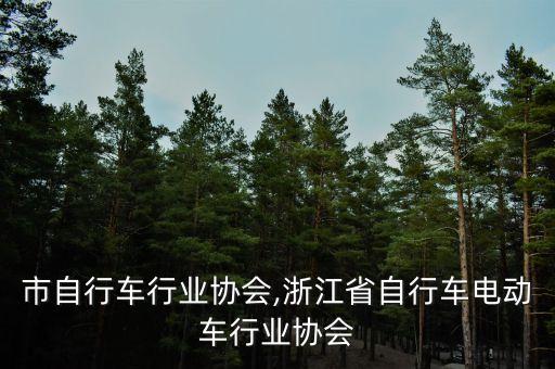 台州市自行车行业协会,浙江省自行车电动车行业协会