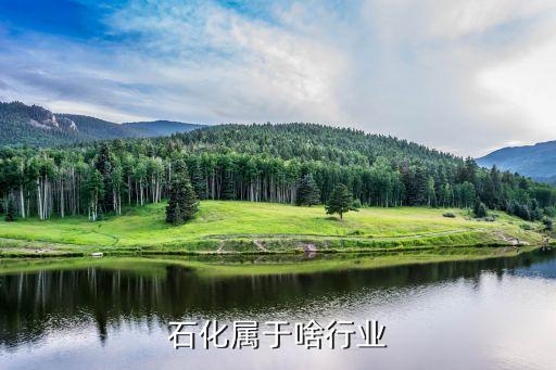 石化属于啥行业