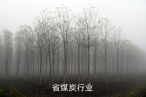 省煤炭行业