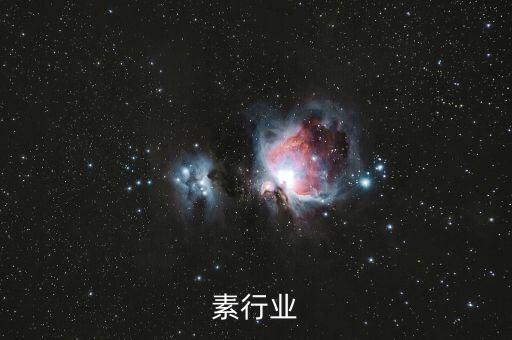 素行业