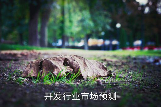开发行业市场预测