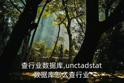 怎么查行业数据库,unctadstat数据库怎么查行业
