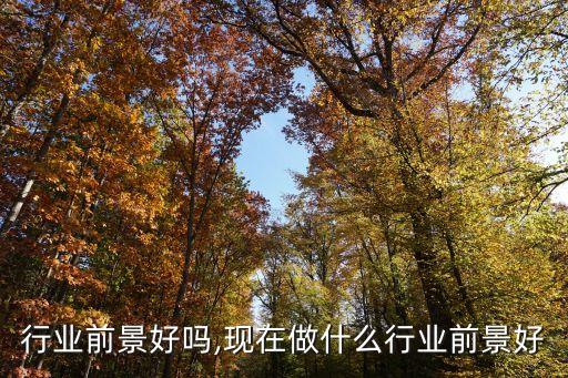 行业前景好吗,现在做什么行业前景好
