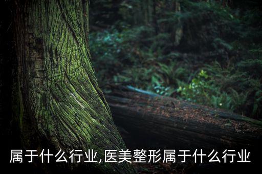 属于什么行业,医美整形属于什么行业