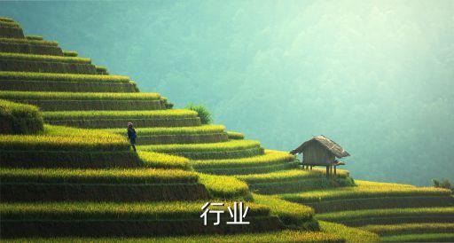 行业