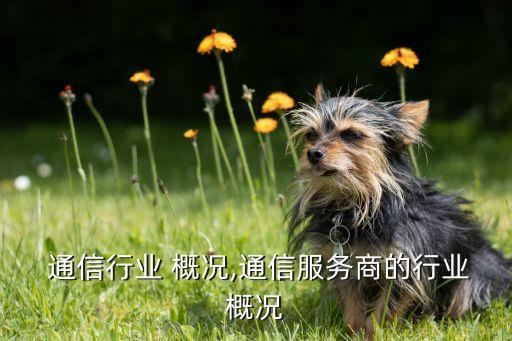  通信行业 概况,通信服务商的行业概况
