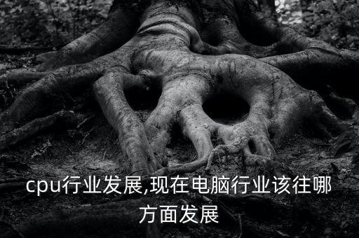 cpu行业发展,现在电脑行业该往哪方面发展