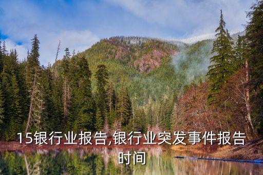 15银行业报告,银行业突发事件报告时间