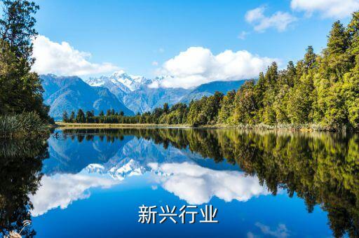 六大新兴行业