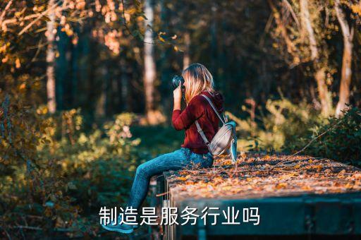 家电制造是服务行业吗
