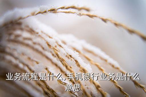 银行业务流程是什么,手机银行业务是什么意思