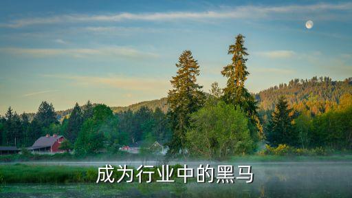 怎样成为行业中的黑马
