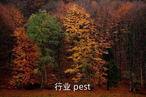 行业 pest