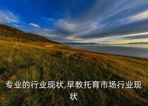 专业的行业现状,早教托育市场行业现状