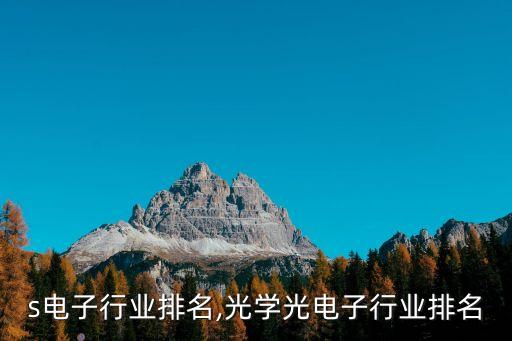 s电子行业排名,光学光电子行业排名