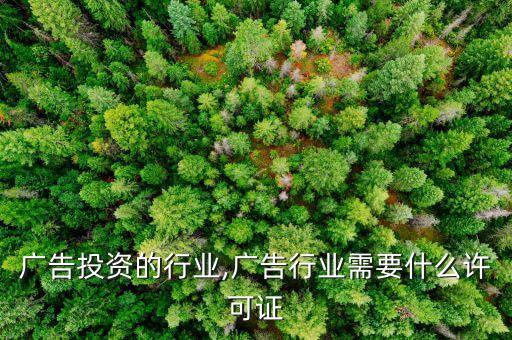 需要广告投资的行业,广告行业需要什么许可证