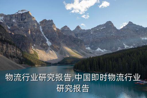 大宗物流行业研究报告,中国即时物流行业研究报告