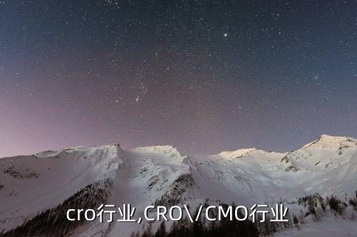 4大cro行业,CRO\/CMO行业