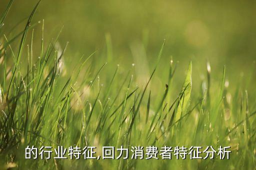 回力的行业特征,回力消费者特征分析