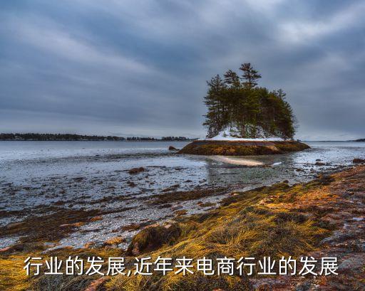 电商行业的发展,近年来电商行业的发展