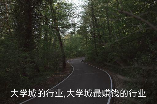 针对大学城的行业,大学城最赚钱的行业