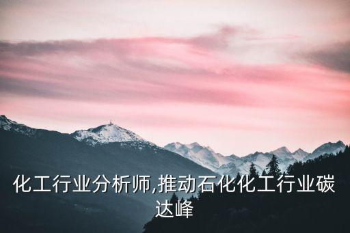 化工行业分析师,推动石化化工行业碳达峰