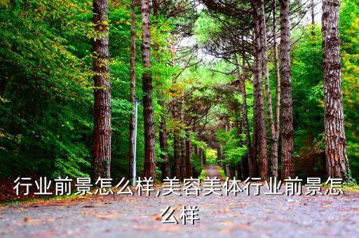 车贷行业前景怎么样,美容美体行业前景怎么样