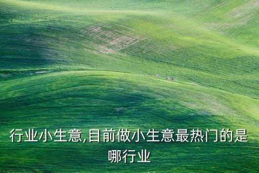 电脑行业小生意,目前做小生意最热门的是哪行业