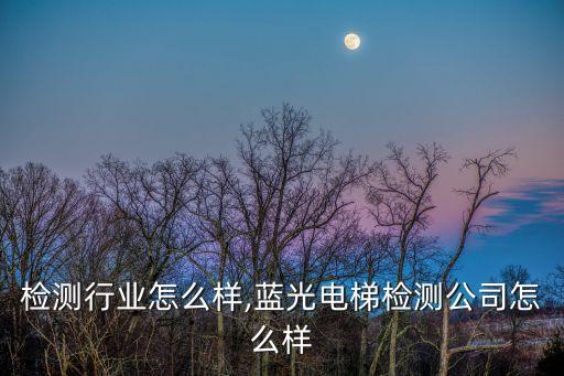 电梯检测行业怎么样,蓝光电梯检测公司怎么样