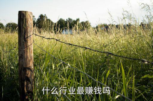 种植什么行业最赚钱吗