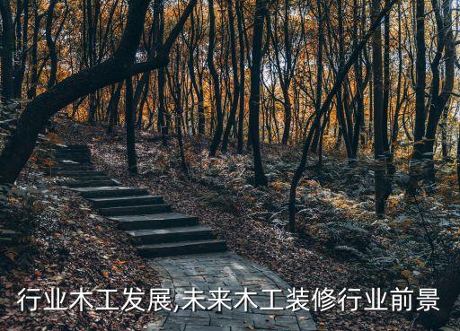 装修行业木工发展,未来木工装修行业前景