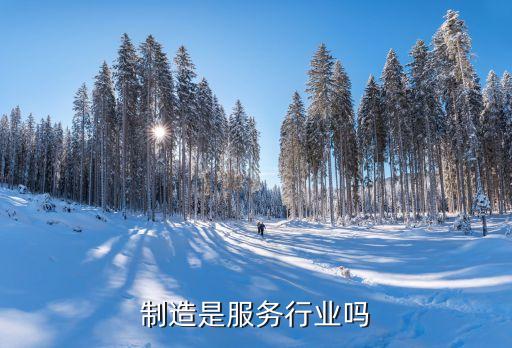 制造是服务行业吗