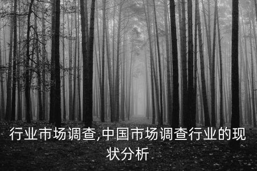 报纸行业市场调查,中国市场调查行业的现状分析