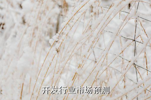 开发行业市场预测