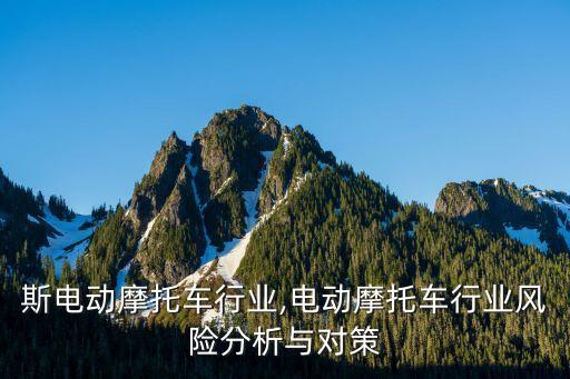 俄罗斯电动摩托车行业,电动摩托车行业风险分析与对策