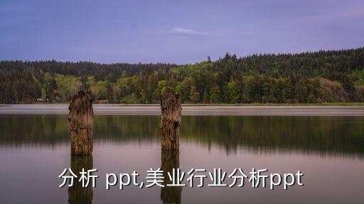 分析 ppt,美业行业分析ppt