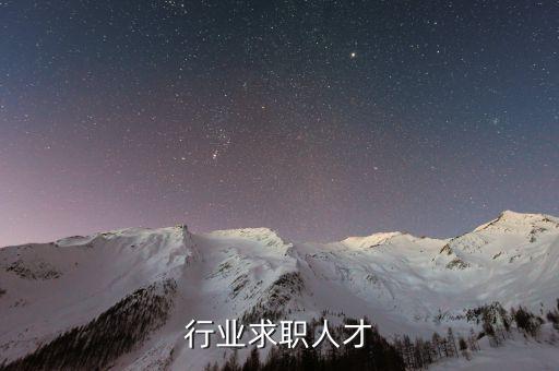 行业求职人才