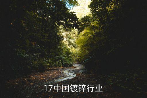 17中国镀锌行业