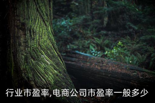 行业市盈率,电商公司市盈率一般多少