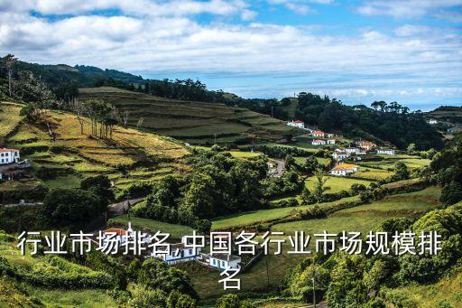 婚纱行业市场排名,中国各行业市场规模排名