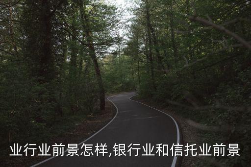 业行业前景怎样,银行业和信托业前景