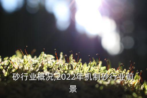 砂行业概况,2022年机制砂行业前景