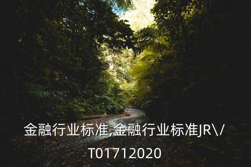 规范金融行业标准,金融行业标准JR\/T0171-2020