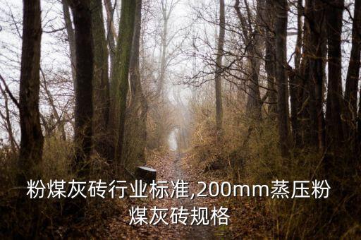 蒸压粉煤灰砖行业标准,200mm蒸压粉煤灰砖规格