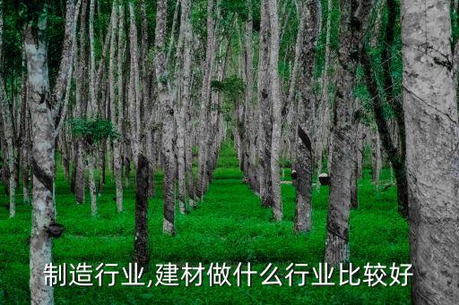 建材制造行业,建材做什么行业比较好