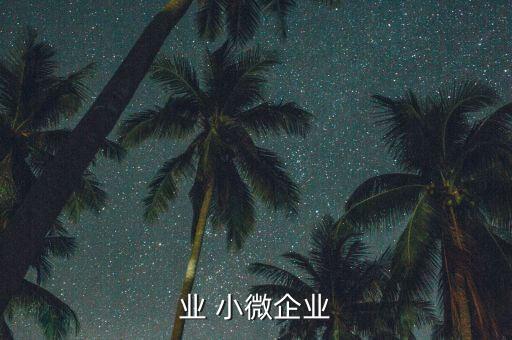 银行业 小微企业